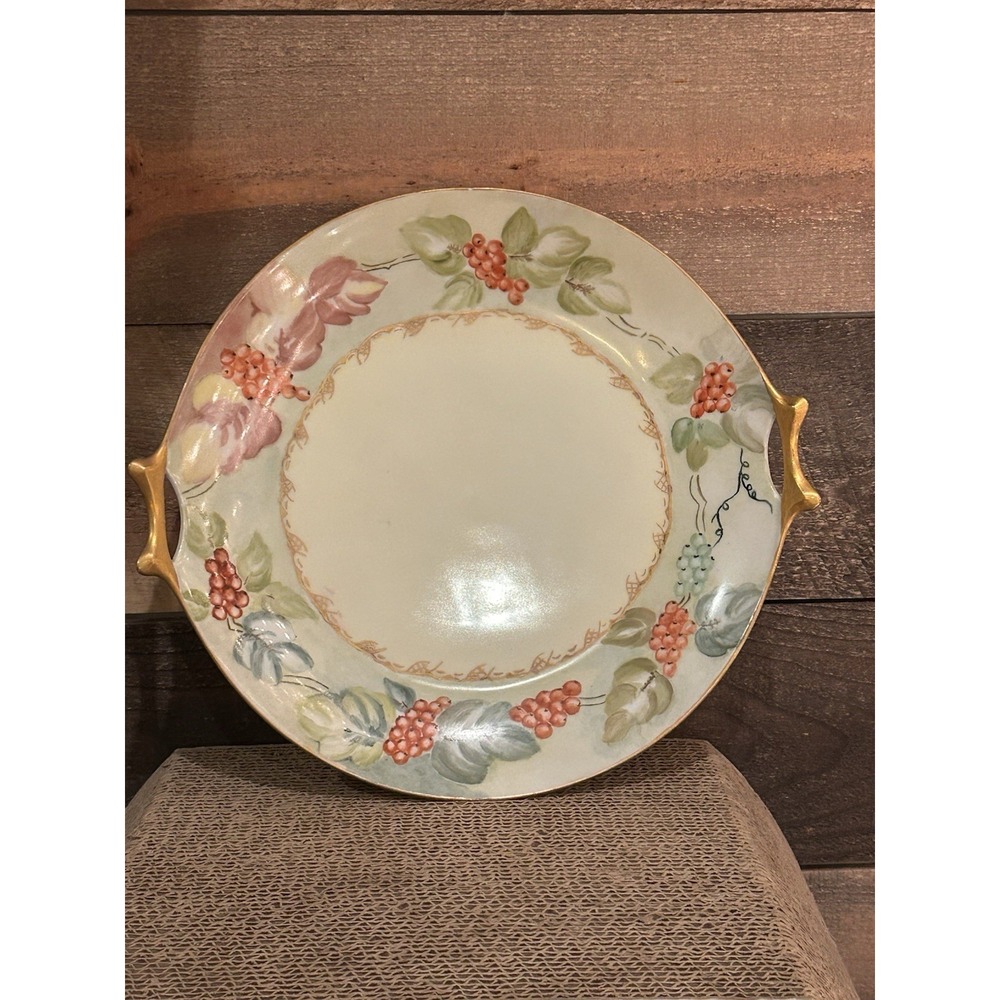 Hutschenreuther Selb. Bavarian Serving Platter, VTG‎ With Handles Cottage Core